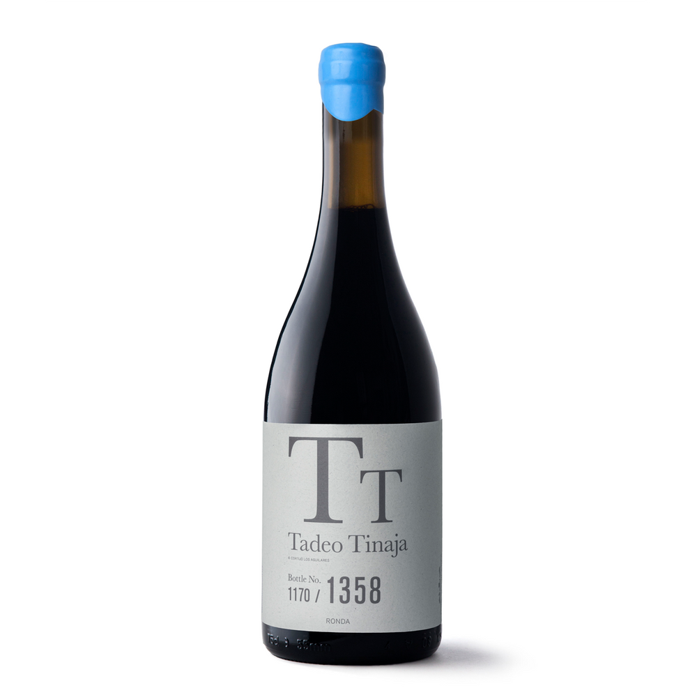 Tadeo Tinaja 2023